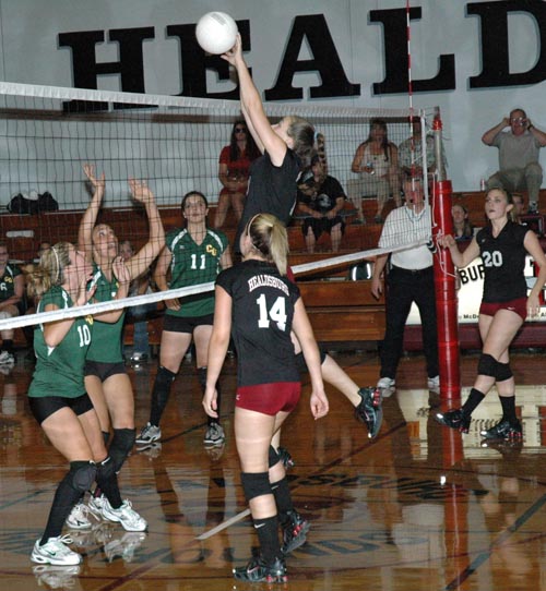 Lady Greyhound volleyballers open league in winning style