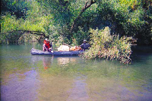 Doing something about dirty beaches and rivers