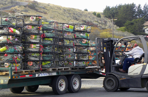 Dungeness crab season set to open November 15