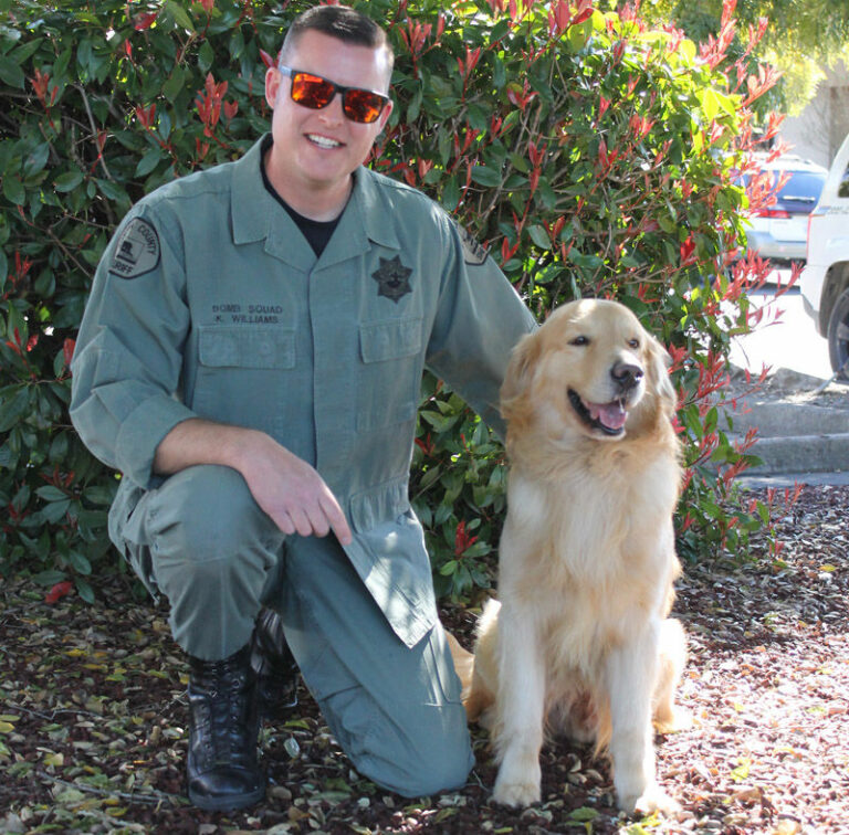 New explosives sniffing dog on county bomb squad