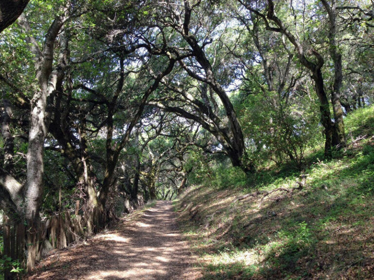 Sonoma County Regional Parks celebrates 50 years