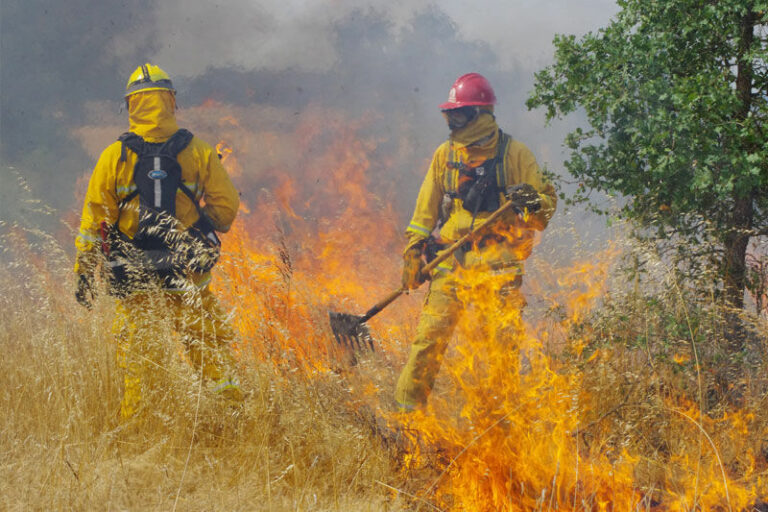 Cal Fire still busier than average despite rainy winter