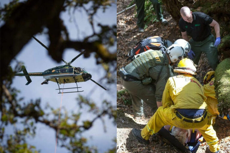 Injured pig hunter rescued by helicopter near Healdsburg