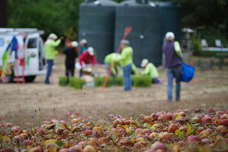 Nonprofit feeding county through gleaning