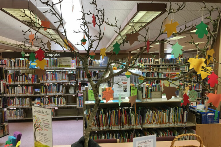 Library reaches out with gratitude tree