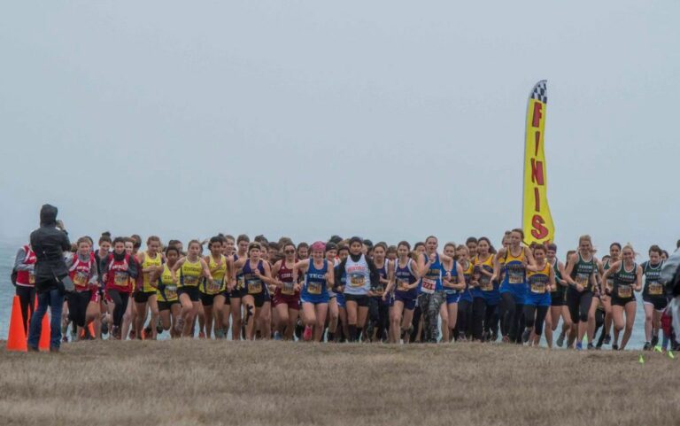 Running Eagles shine at CMC cross country finals