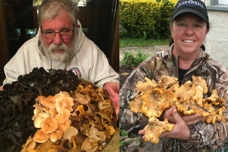 Fun, food and fungi among the forest floor