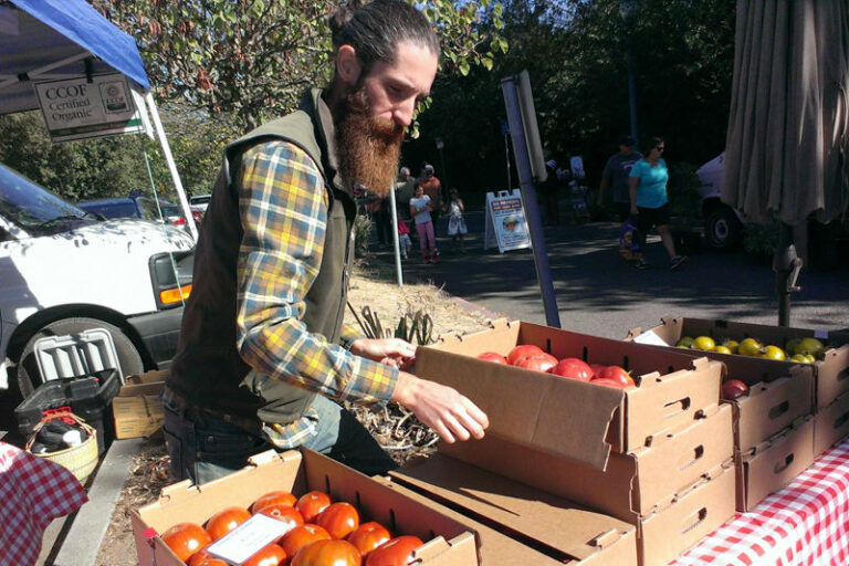 Healdsburg Farmers’ market will move to Plaza on Tuesdays