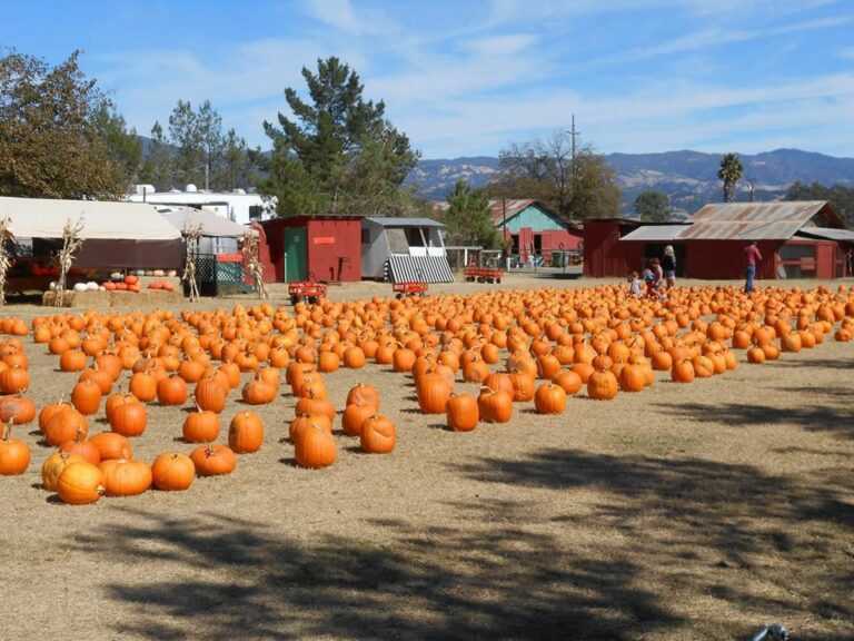 Fall into the autumn spirit