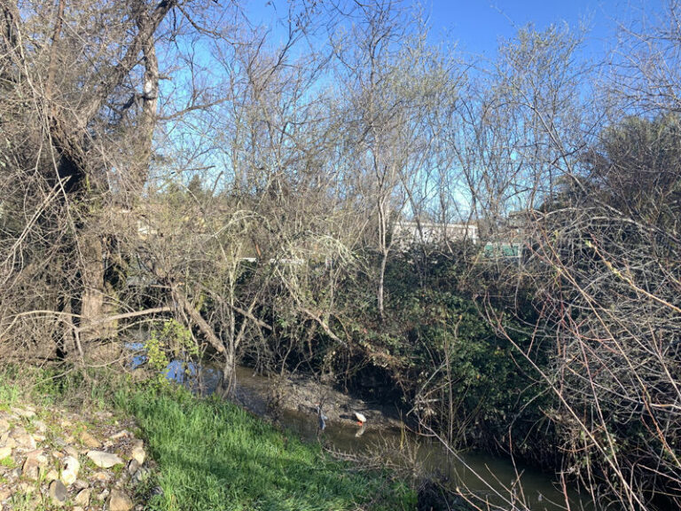 Body found at Foss Creek