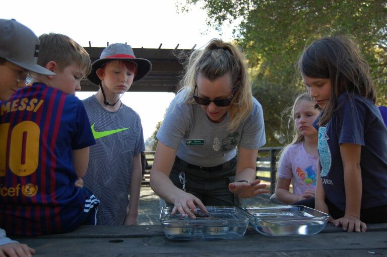 Junior Rangers discover county’s great outdoors