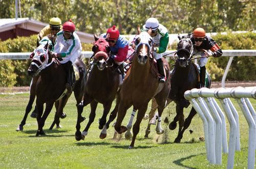 Wine Country Racing back for another action-packed year