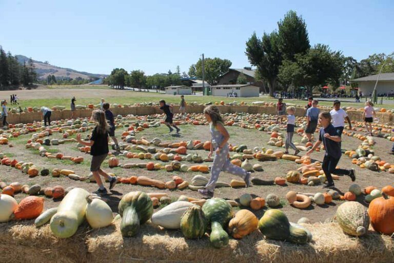 Pure food, pure fun at the Heirloom Expo