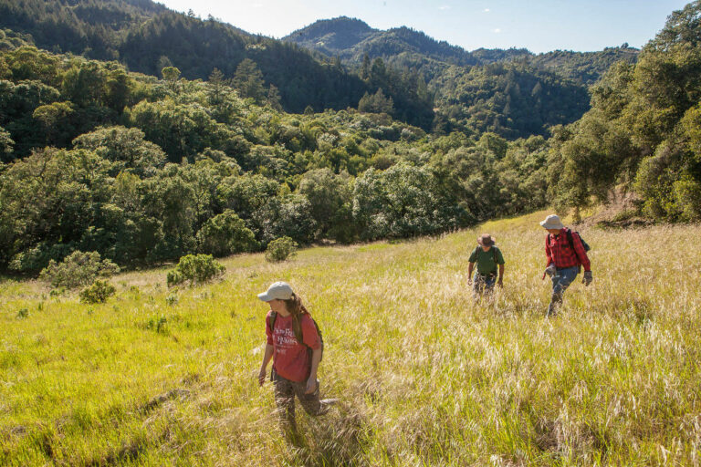 Be your own botanist at Riddell Preserve