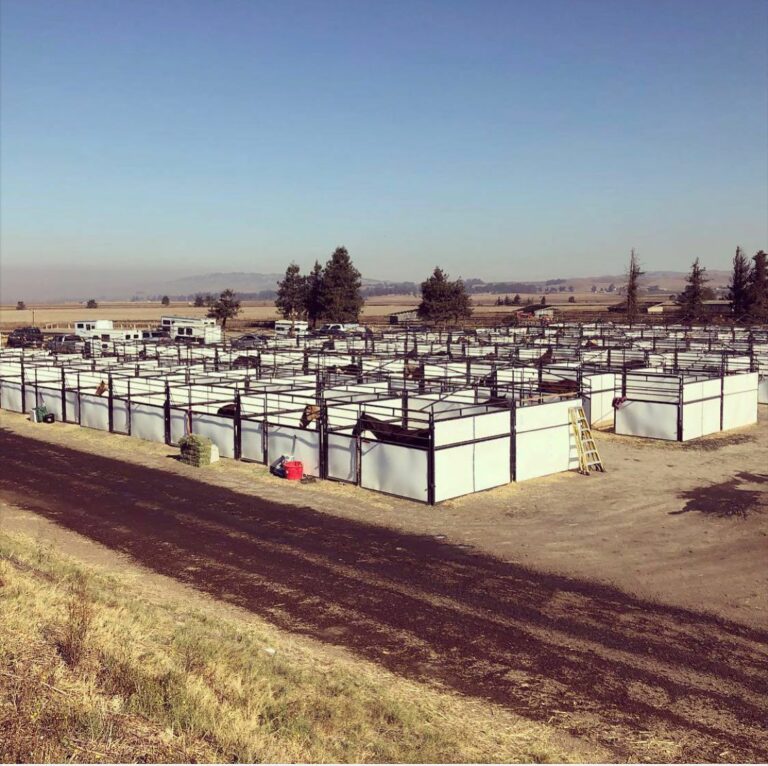 Sonoma CART provides refuge for evacuated horses