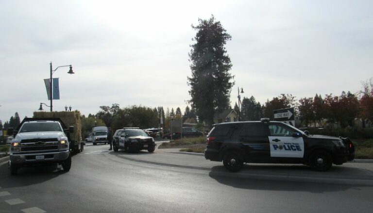 Police chase ends at roundabout