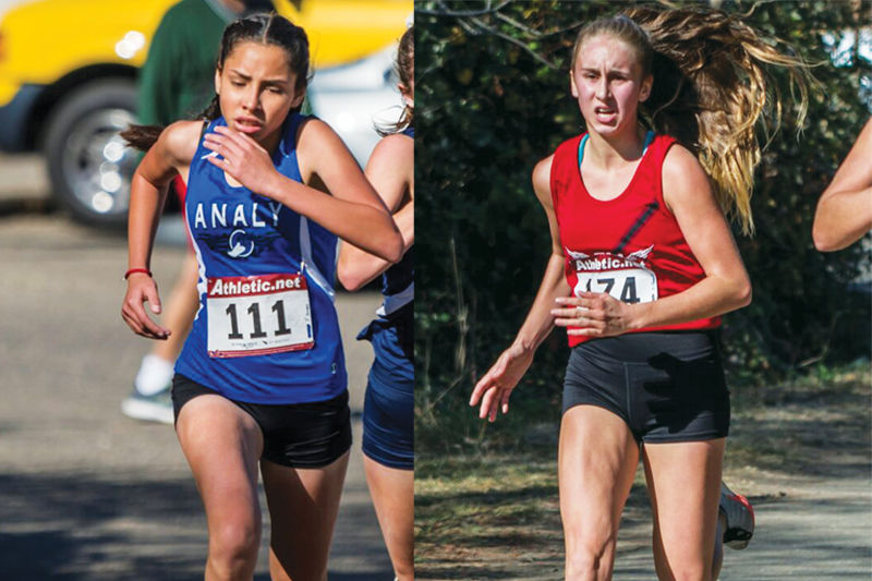 Running Lions, Tigers gearing up for North Coast Section Cross Country