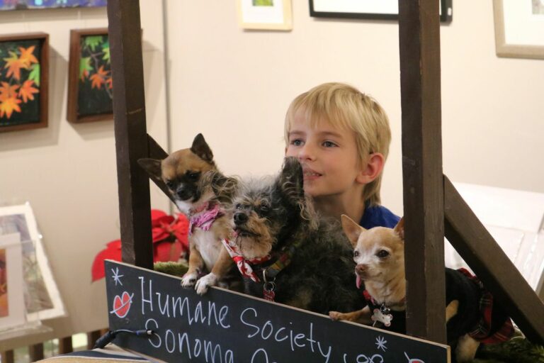 ‘Humane Holiday’ exhibit celebrates animals