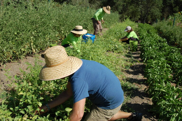 Corazón brings back Unity and Community Fund, additional food service programs