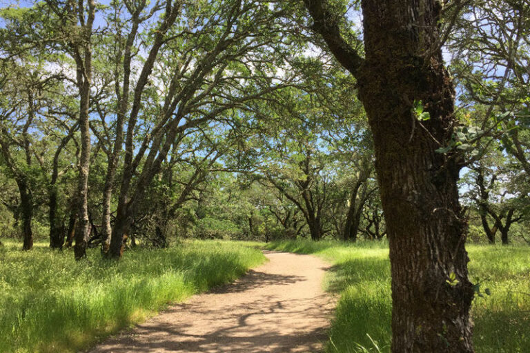 County opens parks, shelter-in-place looms