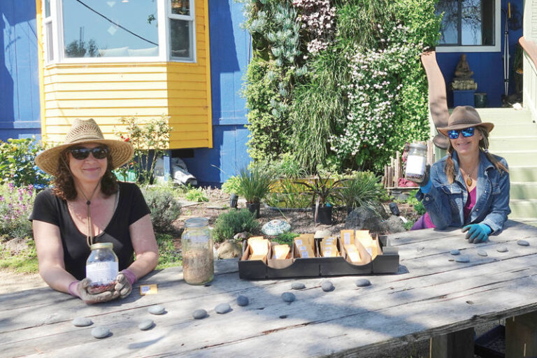 Seed bank gives out 1,800 packs of free seed to local gardeners