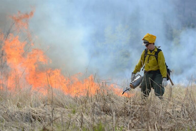 Report warns high fire risk to start in June