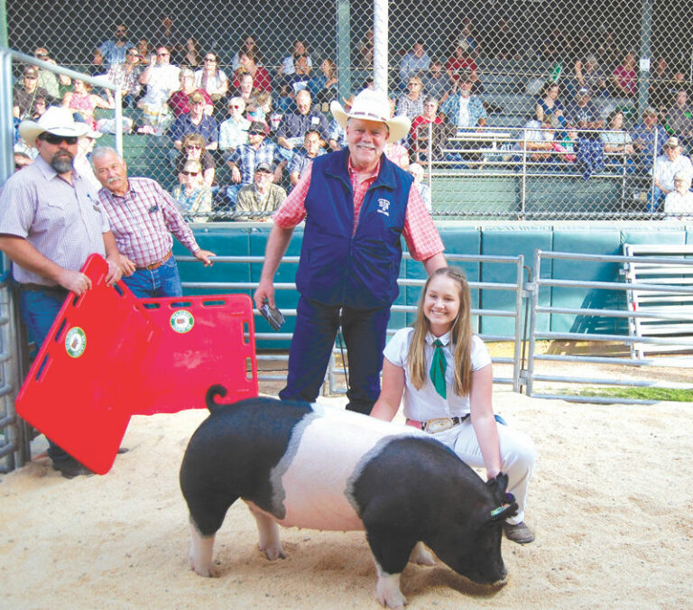 Healdsburg’s youth livestock auction going virtual