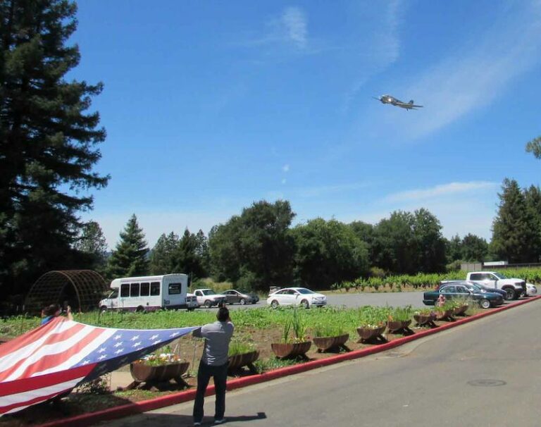 99 year-old WWII pilot gets his own flyover