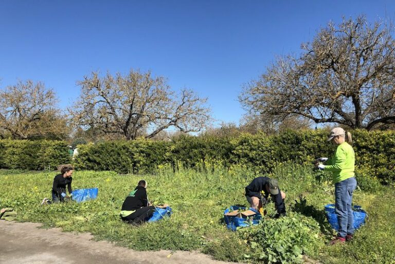 With new director at helm, Farm to Pantry aims to expand services