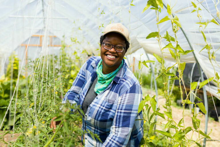 Sowing seeds for the future