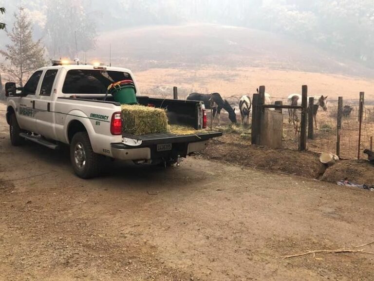 Ag owners can get permits to care for livestock, property during evacuations