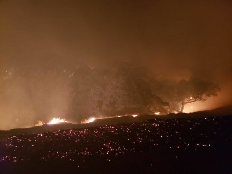 County declares emergency amid wildfires