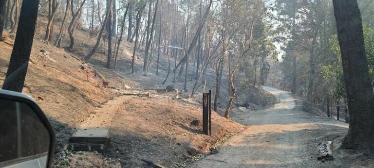 Historical Daniels School destroyed by fire, Mill Creek hit hard