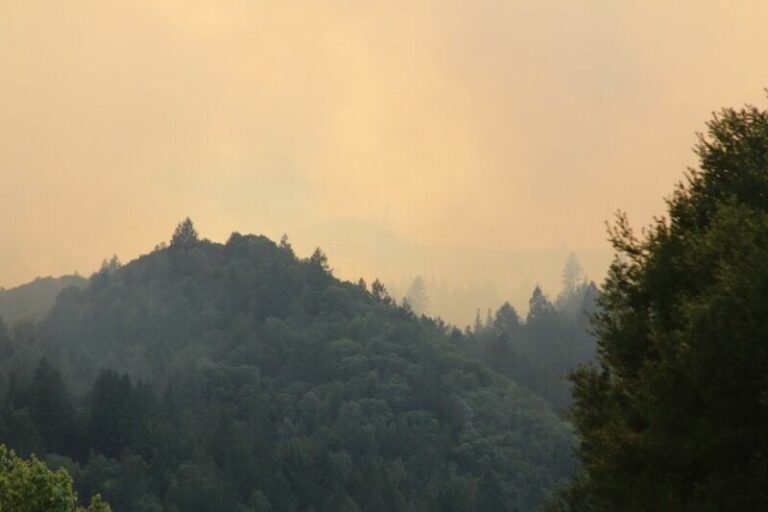 Thursday fire update: Walbridge Fire growth is holding steady