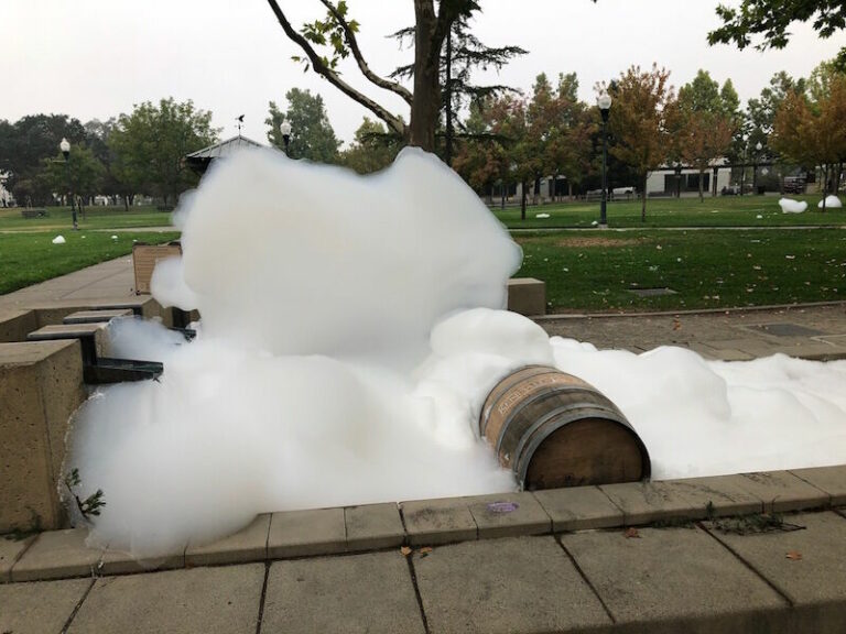 Vandals damage fountains, trees and more on Town Green