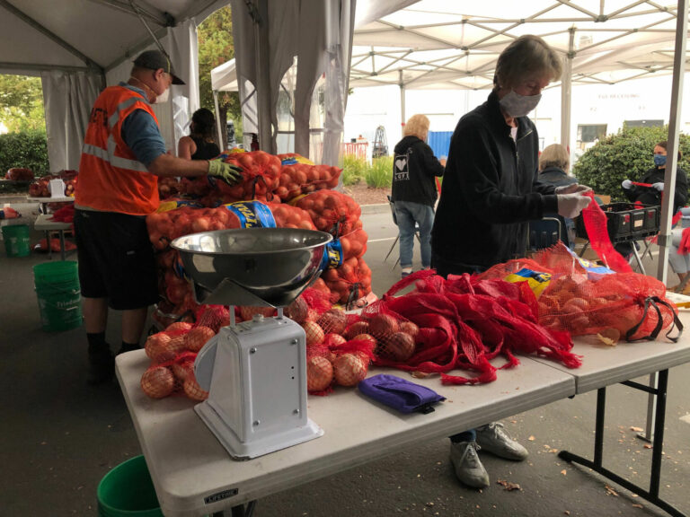 Countywide food emergency is growing