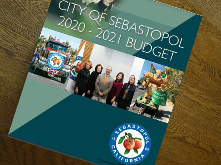 Facing a 20% drop in revenues, Sebastopol dips into reserves