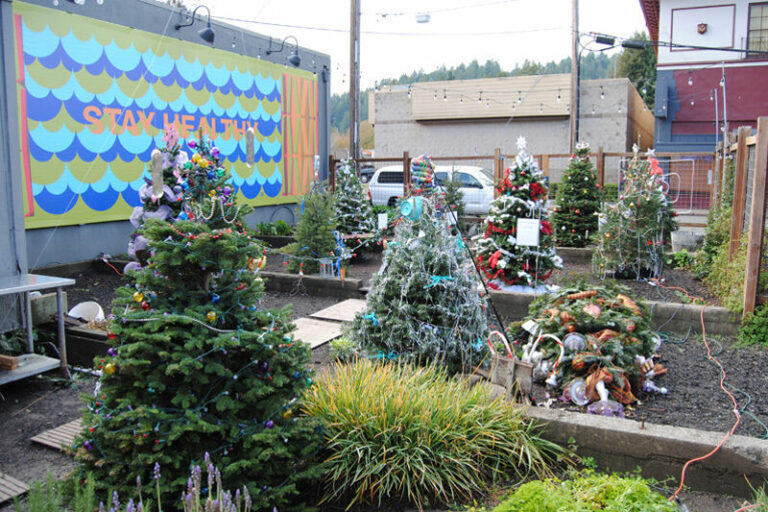 Guerneville merchants hosting holiday tree contest