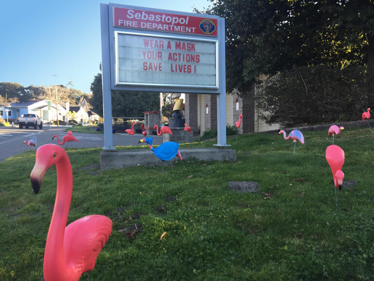 What’s with the pink flamingos in front of the fire station?