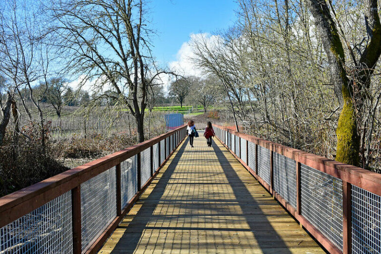 West County Trail extension completed in Forestville