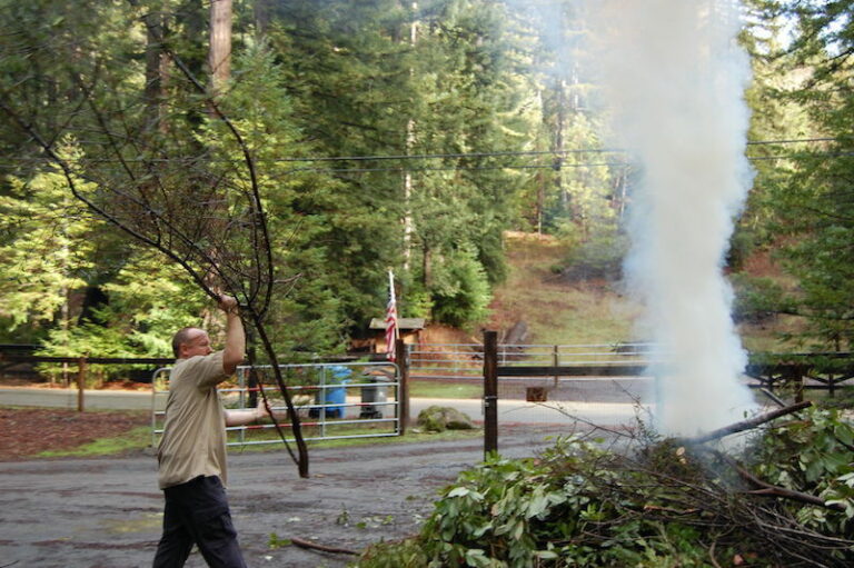 Northern Sonoma County Fire District chief earns national wildfire mitigation award