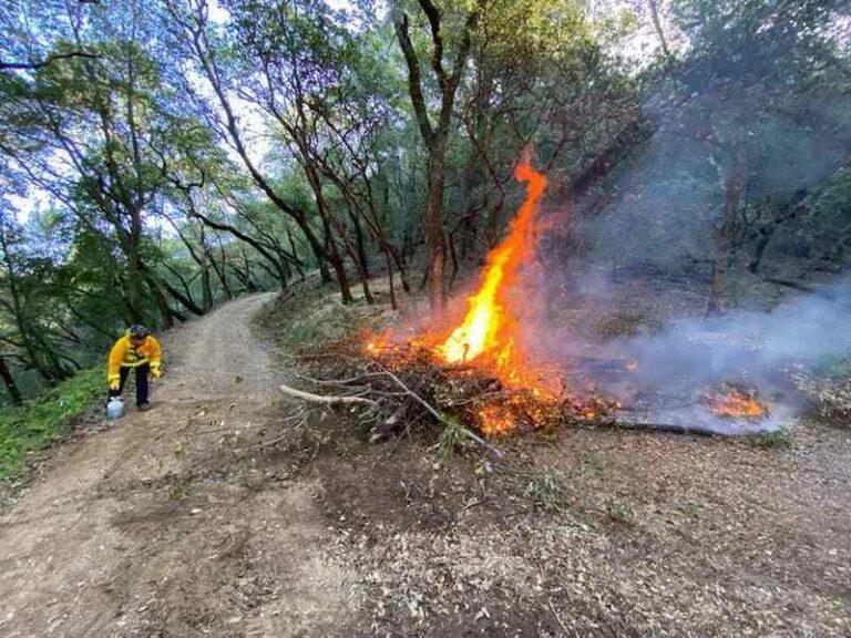 Supervisors allocate chunk of PG&E settlement funds toward vegetation management