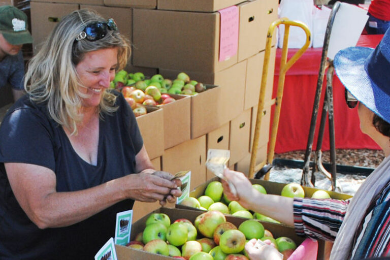 Bite-sized Apple Fair being planned for summer