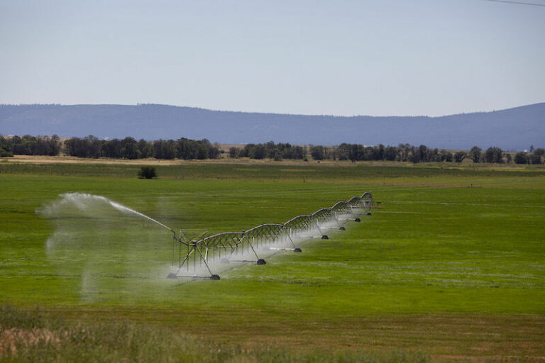 5 things you need to know about federal drought aid in California