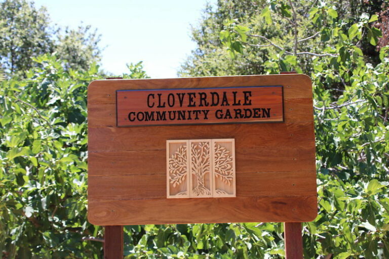 Cloverdale’s community garden is looking for a new home