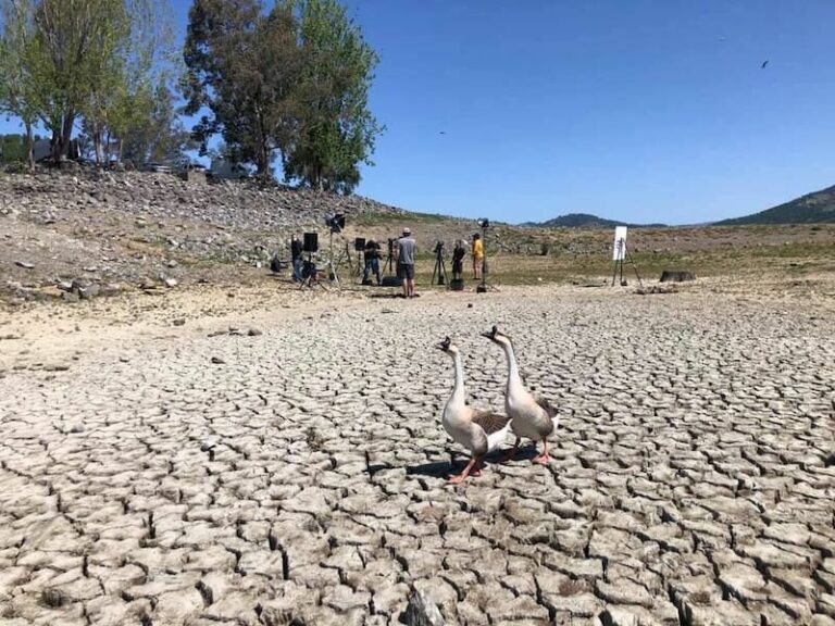 Governor declares drought emergency in northwest counties