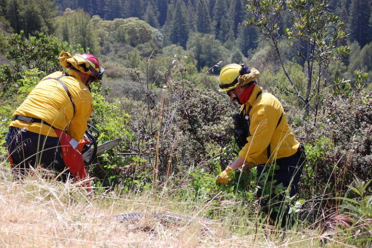 A grim fire season outlook and a parched county: ‘All of these ingredients are not in our favor’