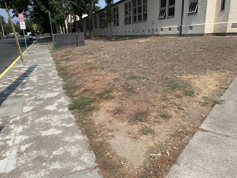 What is Healdsburg’s school district doing to conserve water?