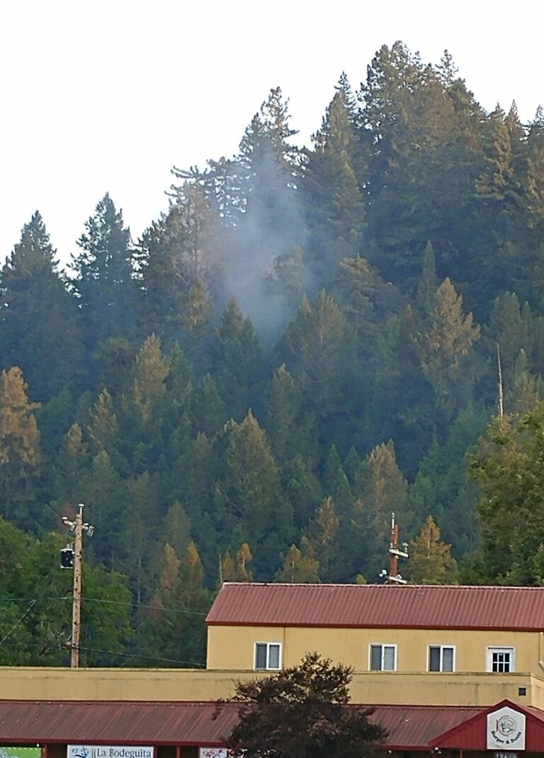 CalFire contains vegetation fire near Guerneville