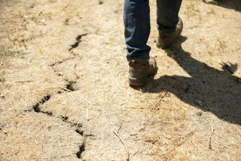 Torture orchard: Can science transform California crops to cope with drought?